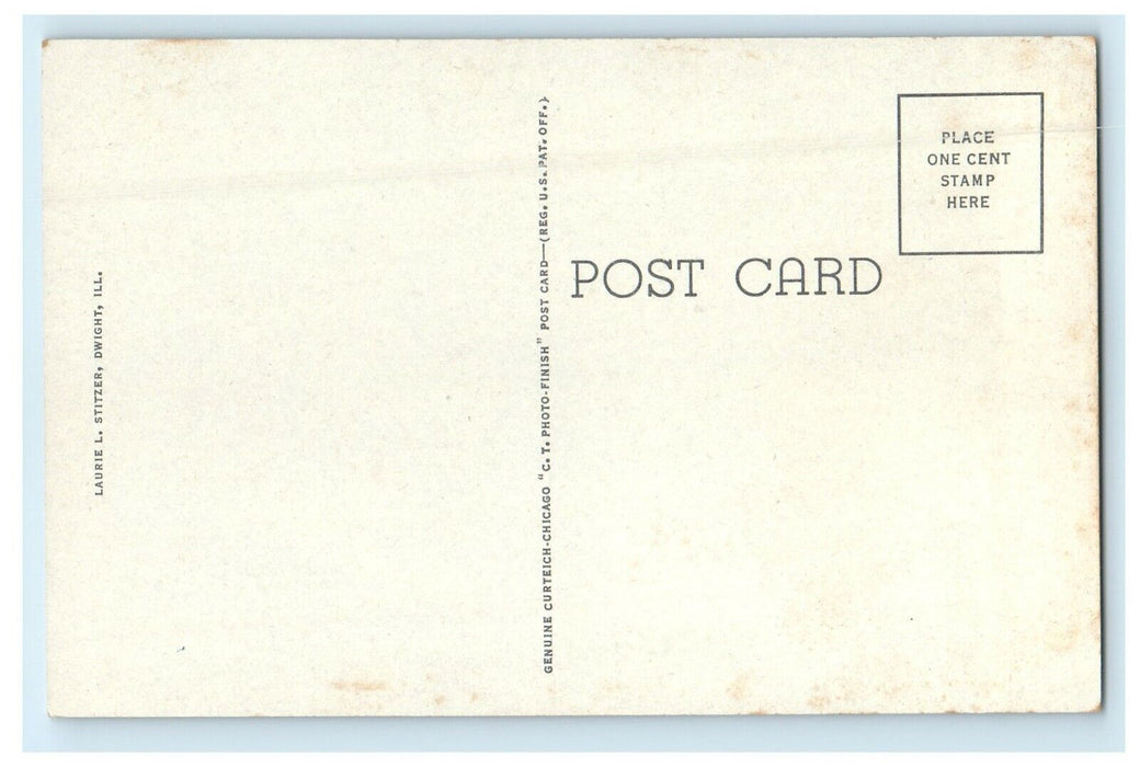 c1930's U.S Veterans Hospital Cars Front Dwight Illinois IL Vintage Postcard