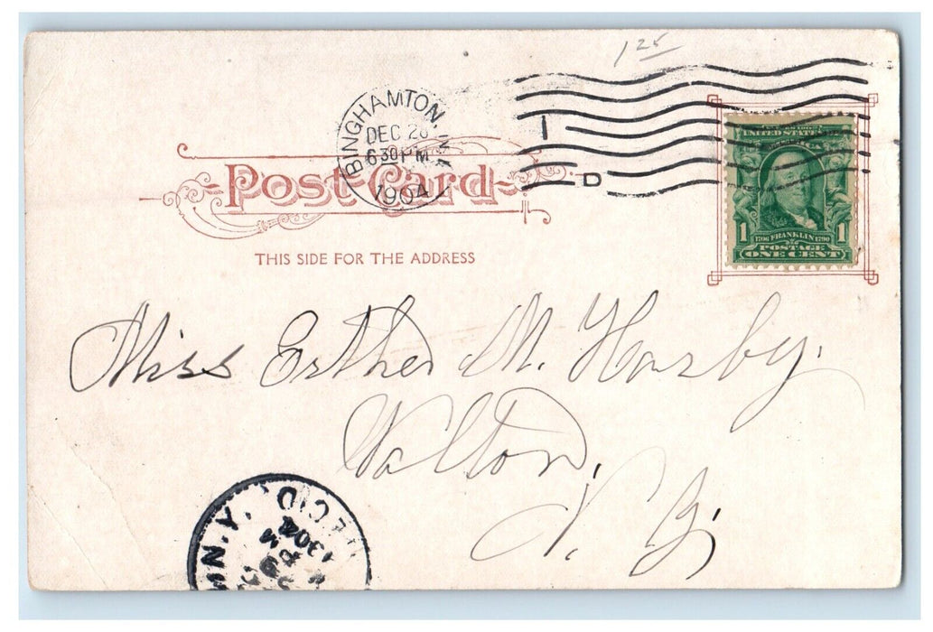 1904 City Hall Building Binghamton New York NY Posted Antique Postcard