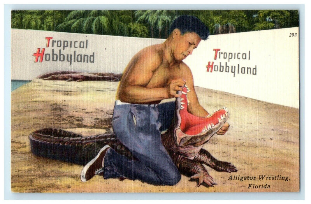 c1940's Tropical Hobbyland Alligator Wrestling Miami Florida FL Postcard