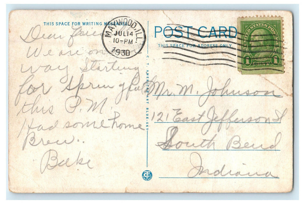 1930 Tree Trunk View, Public Library Maywood Illinois IL Vintage Posted Postcard