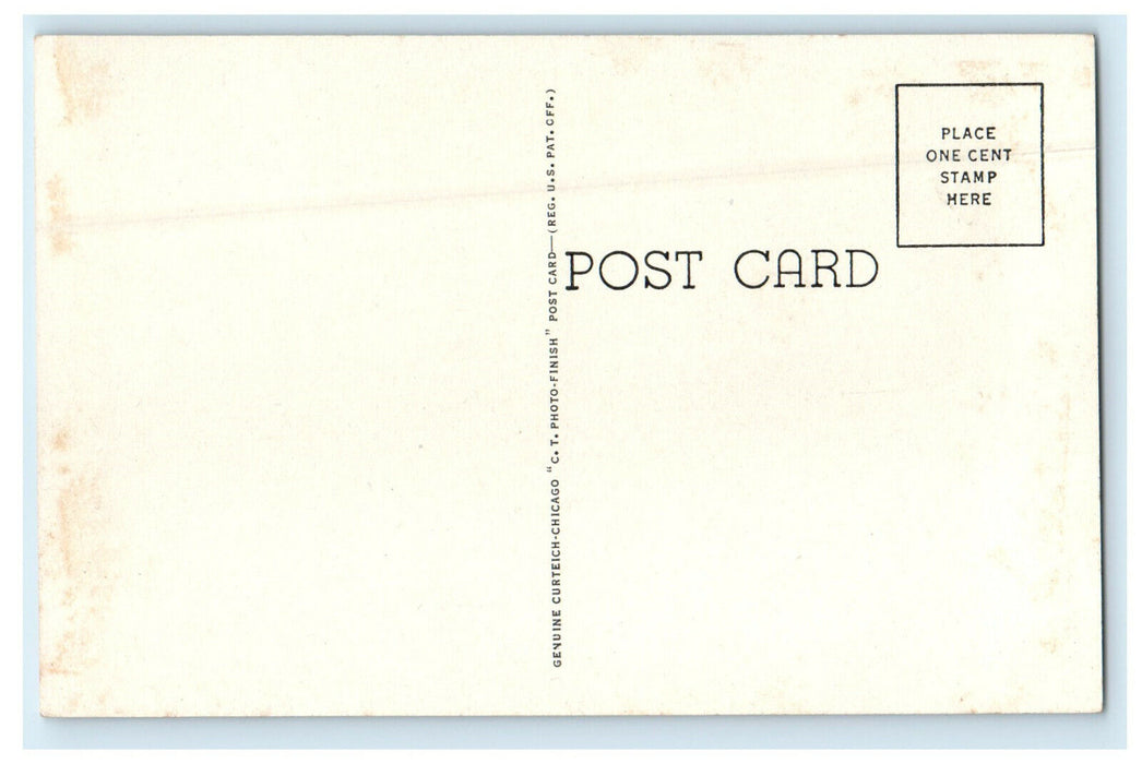 c1920s View of the High School Dwight Illinois IL Unposted Vintage Postcard