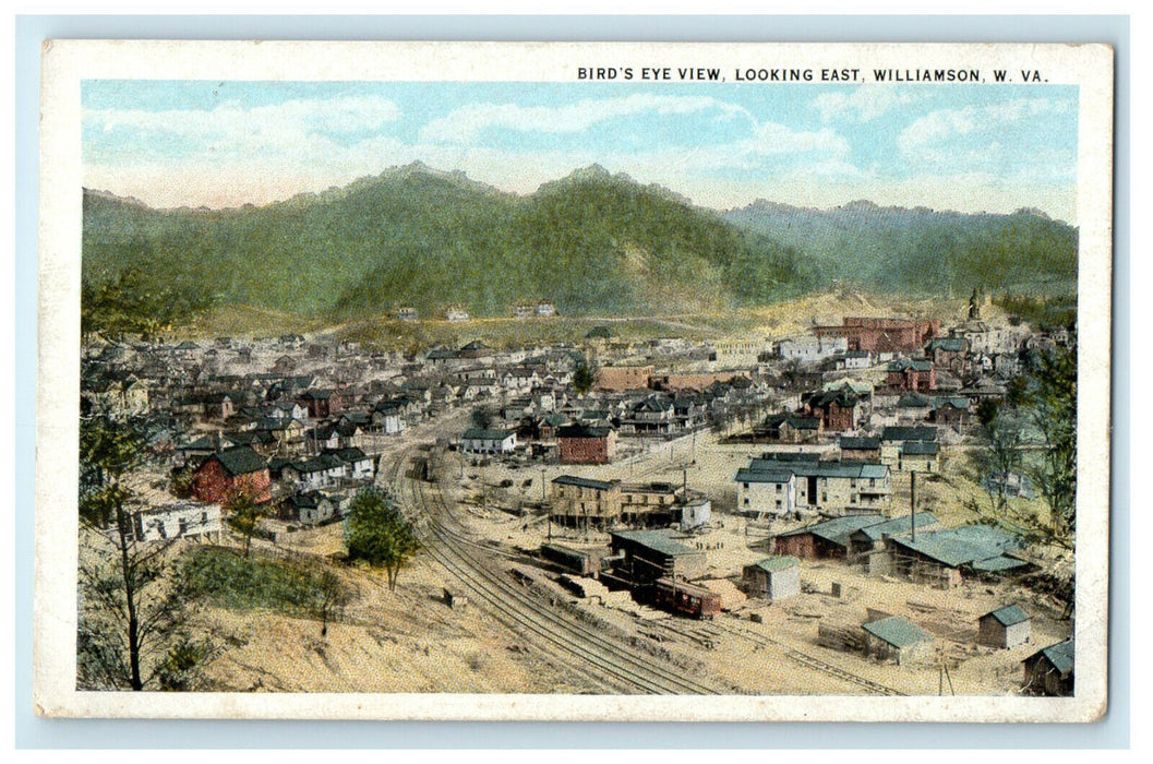 c1920s Bird's Eye View Looking East Williamson West Virginia WV Postcard