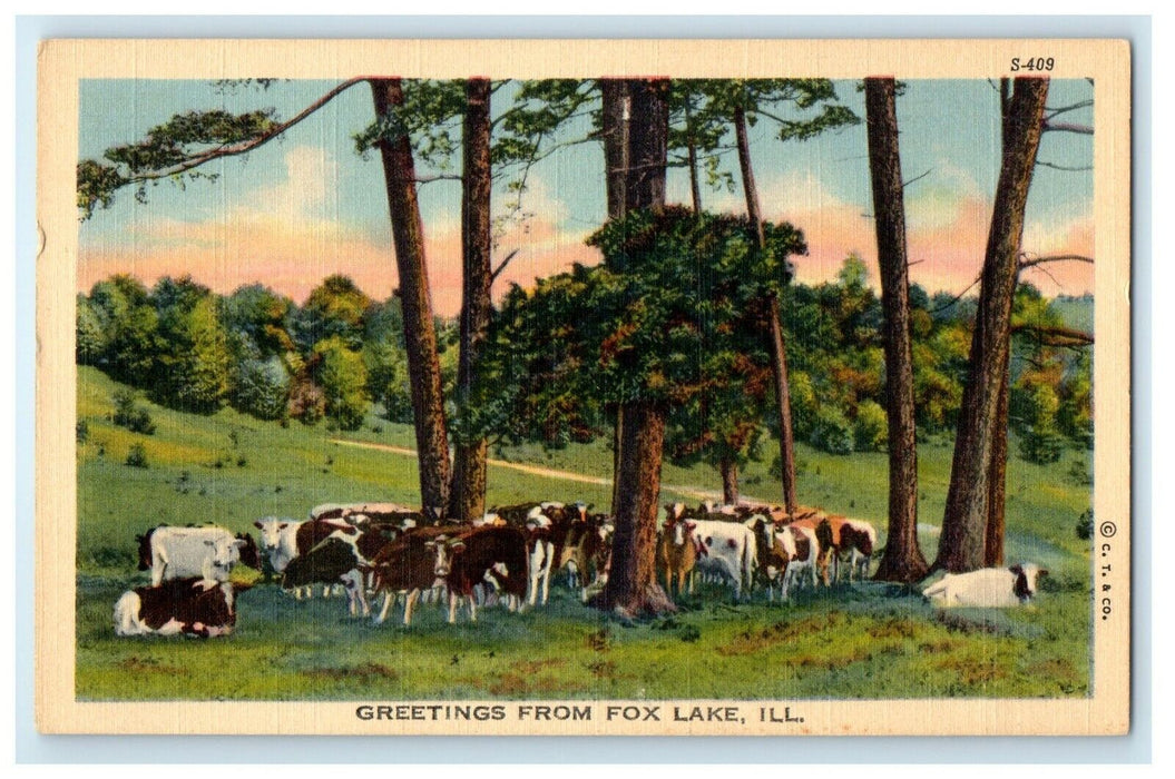 c1940's Greetings From Fox Lake Illinois IL, Farm Cows Vintage Postcard