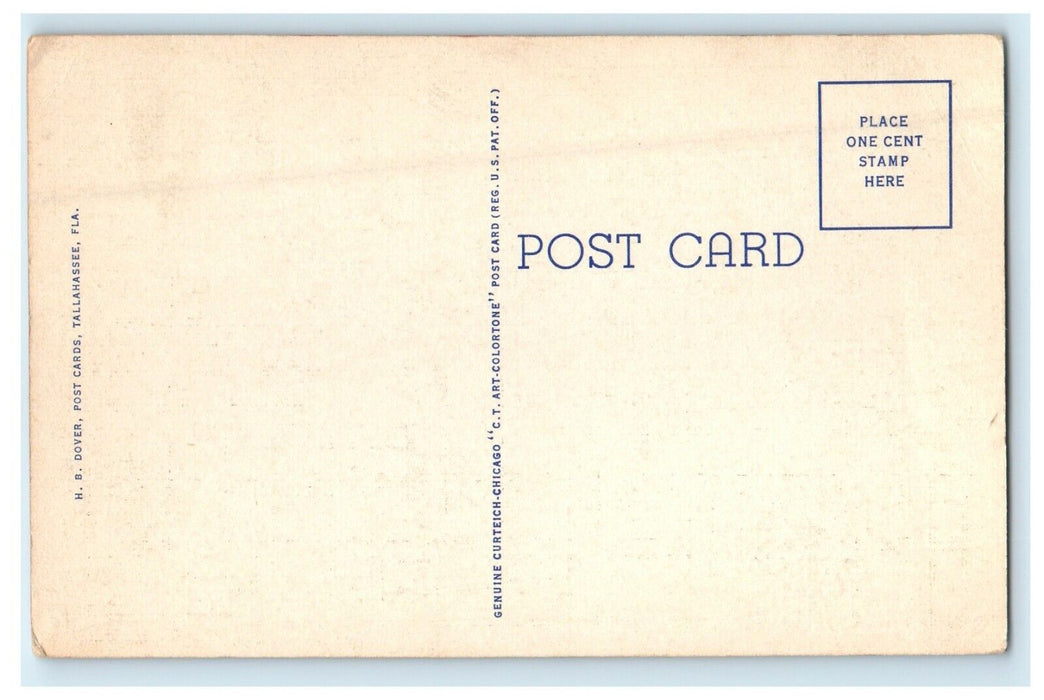 c1930's Sunset Over Florida State Capitol Tallahassee Florida FL Postcard