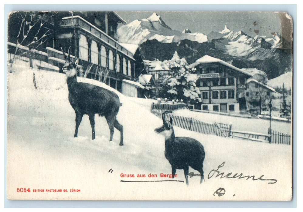 1906 Gruss Aus Den Bergen Germany Goats Niedersachen Posted Antique Postcard