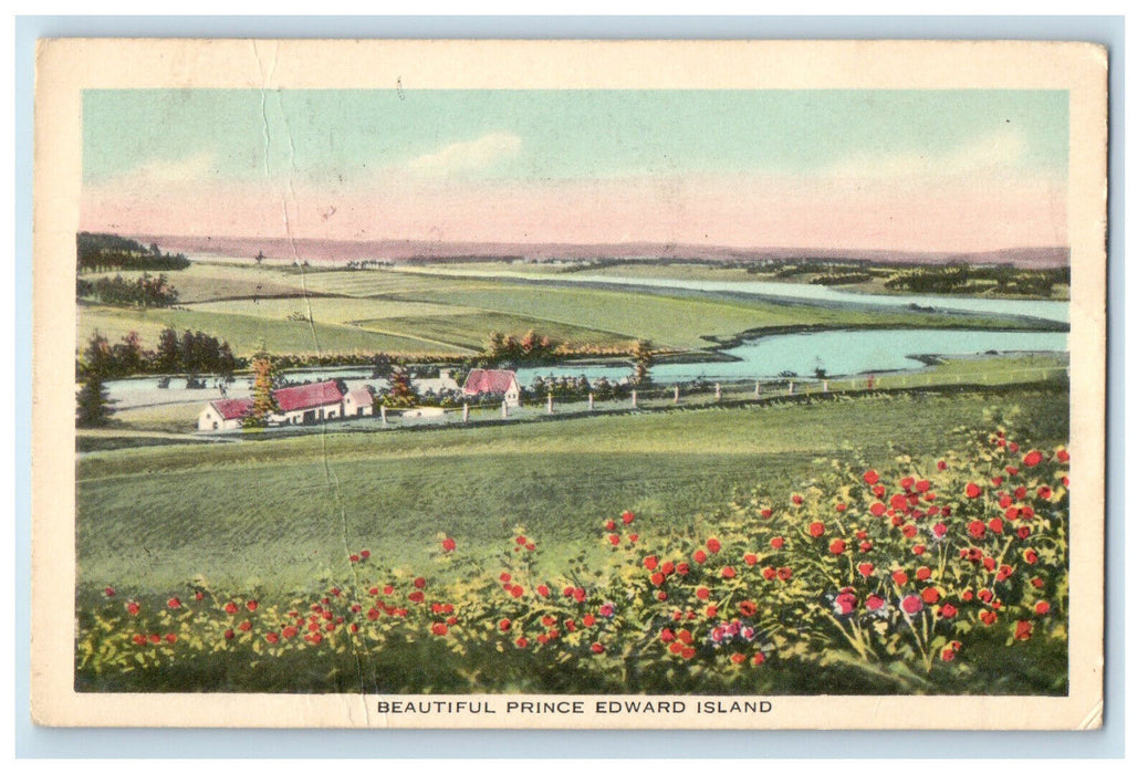 1949 View of Grasses and Flowers, Prince Edward Island Canada Cancel Postcard
