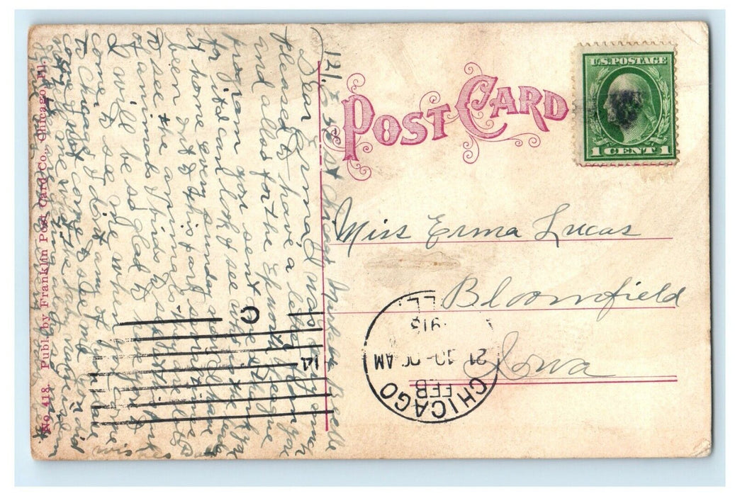 1916 Baby Lions Lincoln Park Chicago Illinois IL Posted Antique Postcard