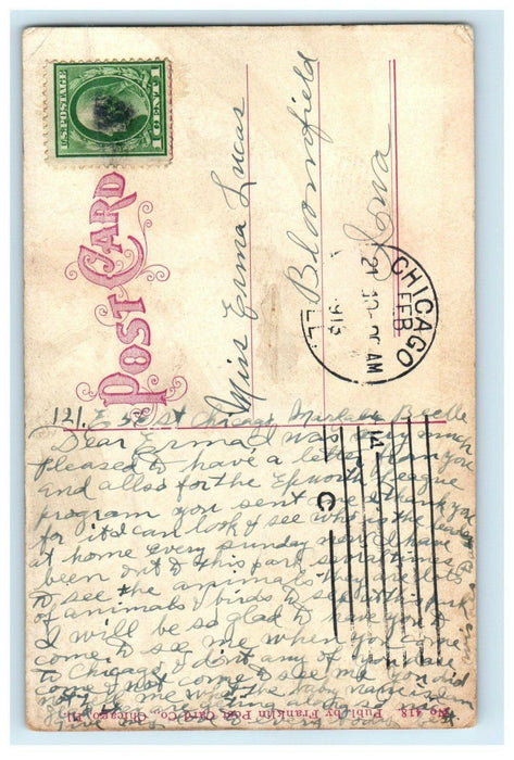 1916 Baby Lions Lincoln Park Chicago Illinois IL Posted Antique Postcard