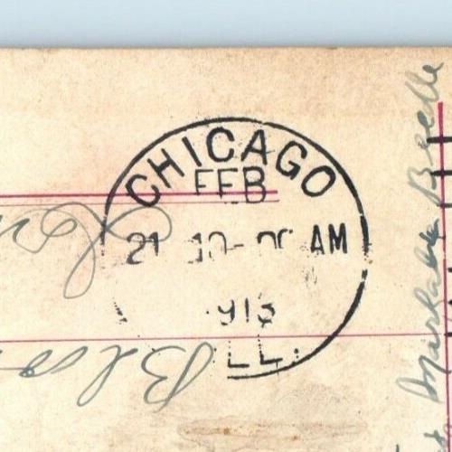 1916 Baby Lions Lincoln Park Chicago Illinois IL Posted Antique Postcard