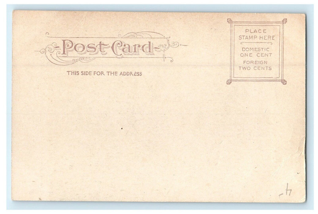 1905 Entrance View Of St. Mary's R.C Church Waltham Massachusetts MA Postcard