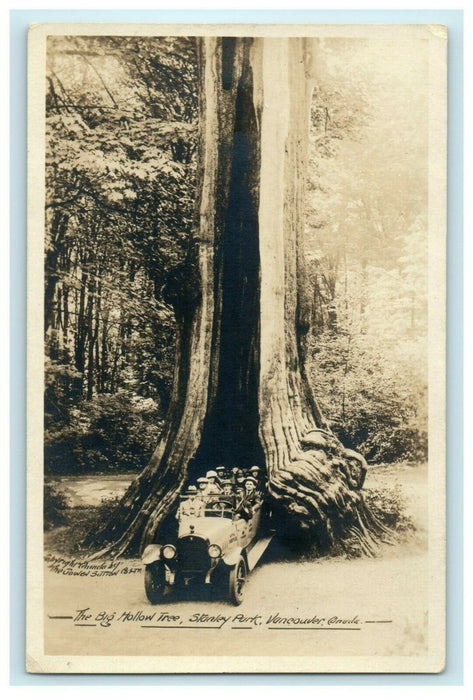 c1910 Big Hollow Tree Stanley Park Vancouver Canada RPPC Photo Car Postcard