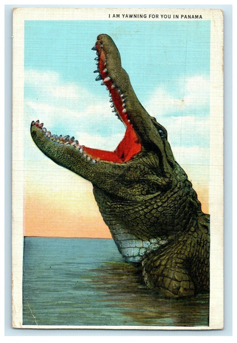 1941 Canal Zone Cancel Balboa Panama Yawning For You Crocodile Postcard