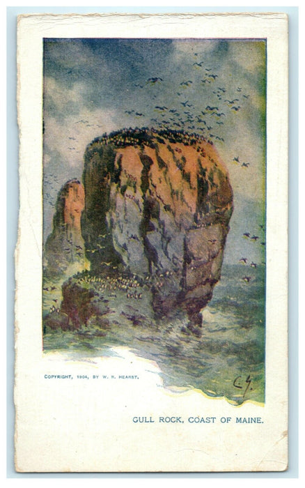 1904 Gull Rock Coast of Maine ME W.R. Hearst Sunday American & Journal Postcard
