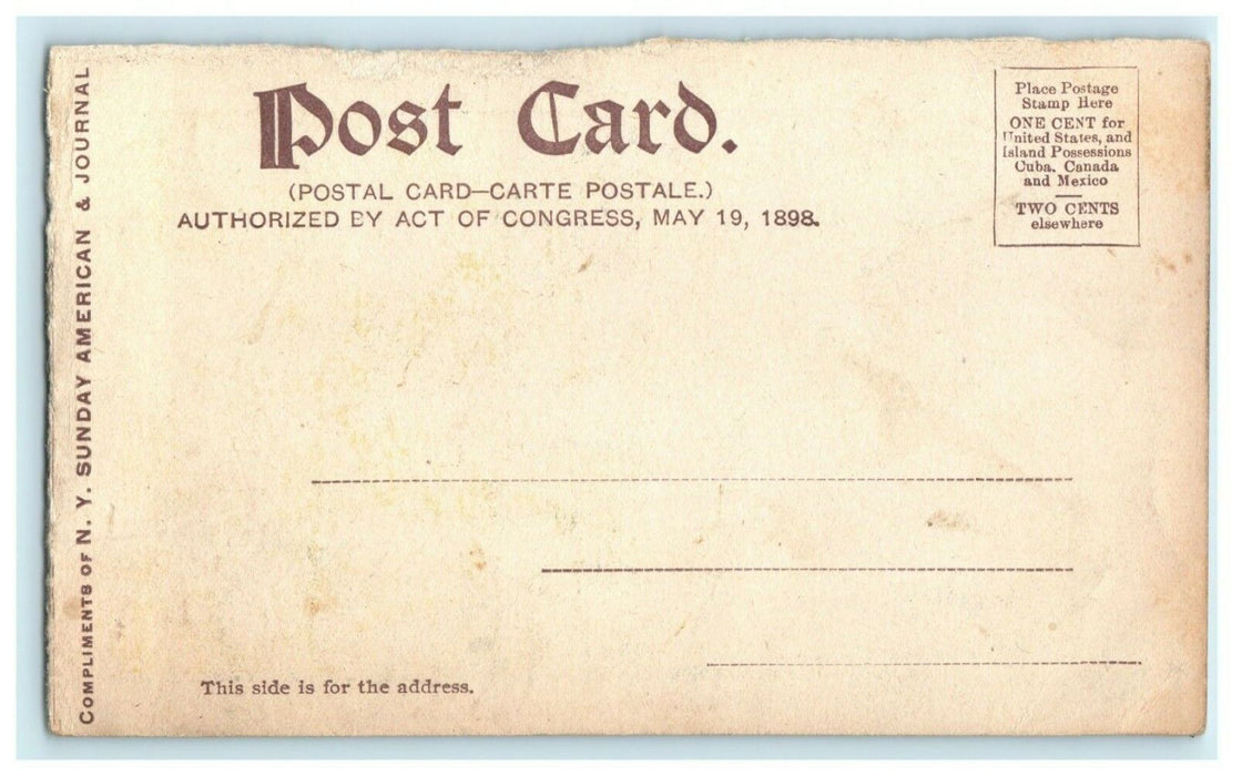 1904 Gull Rock Coast of Maine ME W.R. Hearst Sunday American & Journal Postcard
