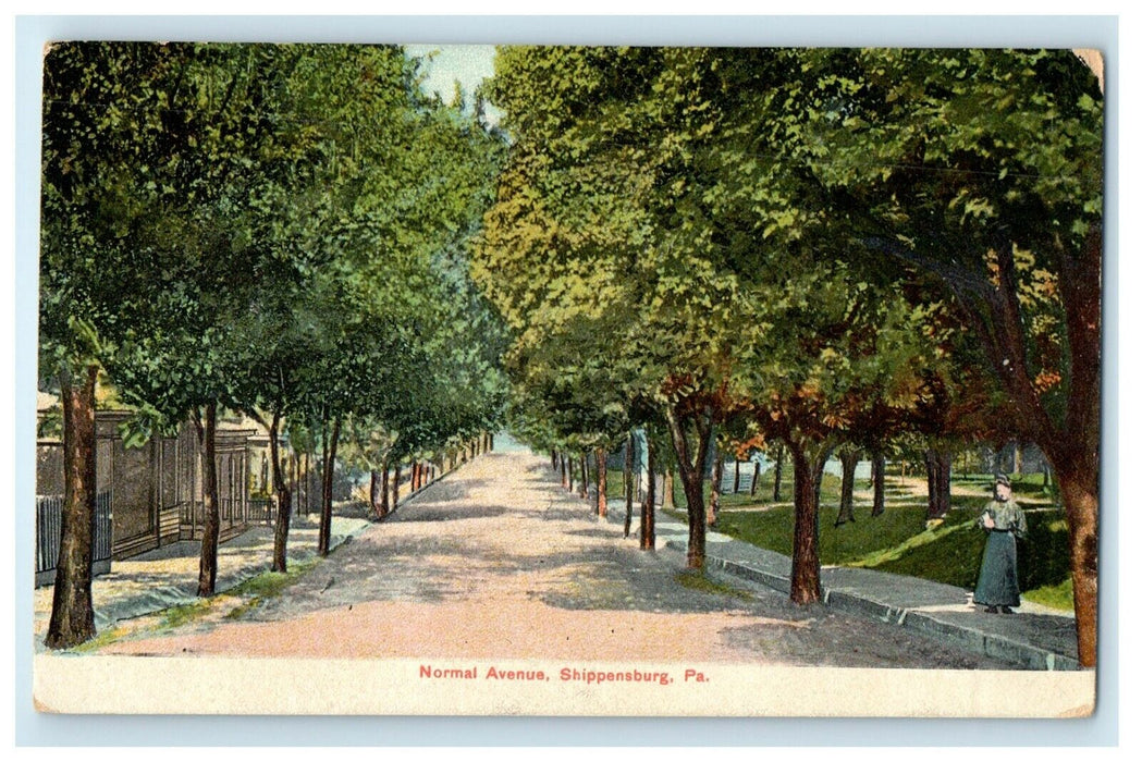 1912 Normal Avenue View Tree Lined Shippensburg Pennsylvania PA Antique Postcard