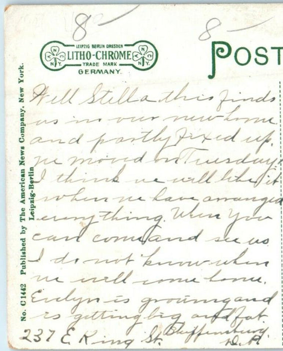 1912 Normal Avenue View Tree Lined Shippensburg Pennsylvania PA Antique Postcard
