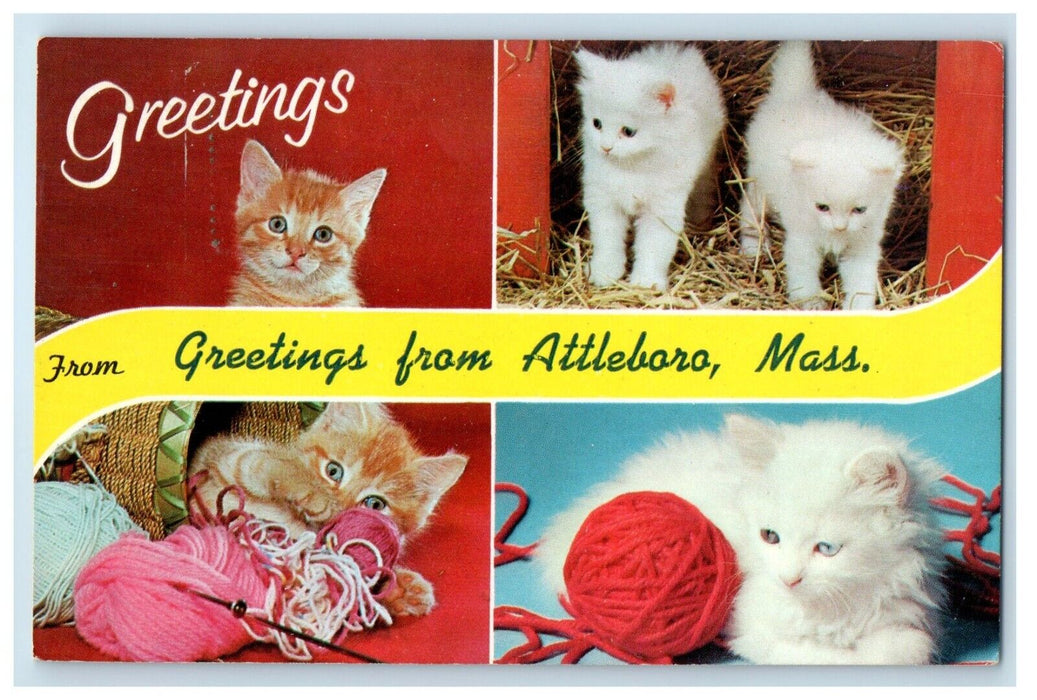 Greetings From Attleboro Massachusetts MA, Cute Cats Multiview Postcard