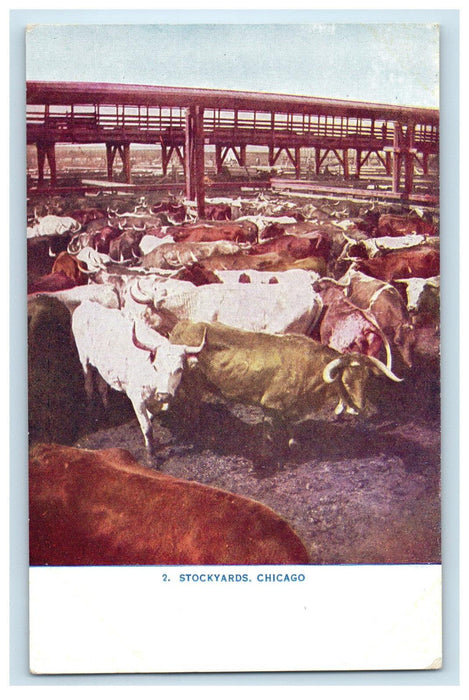 c1910 Buffaloes in Stockyard Chicago Illinois IL Posted Antique Postcard