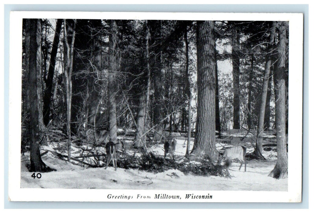 c1940's Greetings From Milltown Wisconsin WI, Deer Winter Snow Postcard