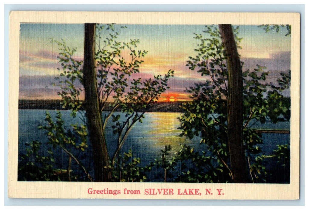 Greetings From Silver Lake New York NY, Lake View Unposted Postcard