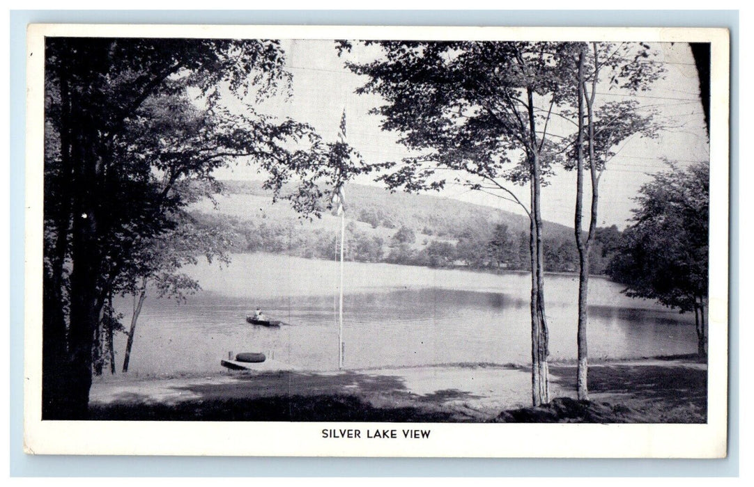 Silver Lake View Boat Canoeing Begeal's Lodge Deposit New York NY Postcard