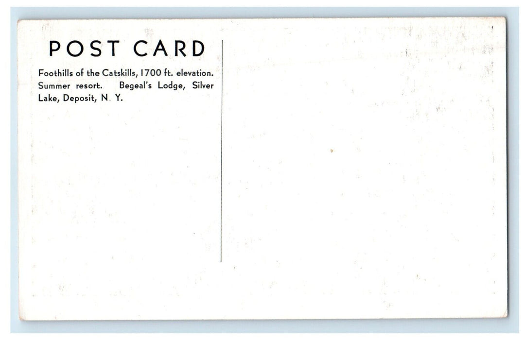 Silver Lake View Boat Canoeing Begeal's Lodge Deposit New York NY Postcard