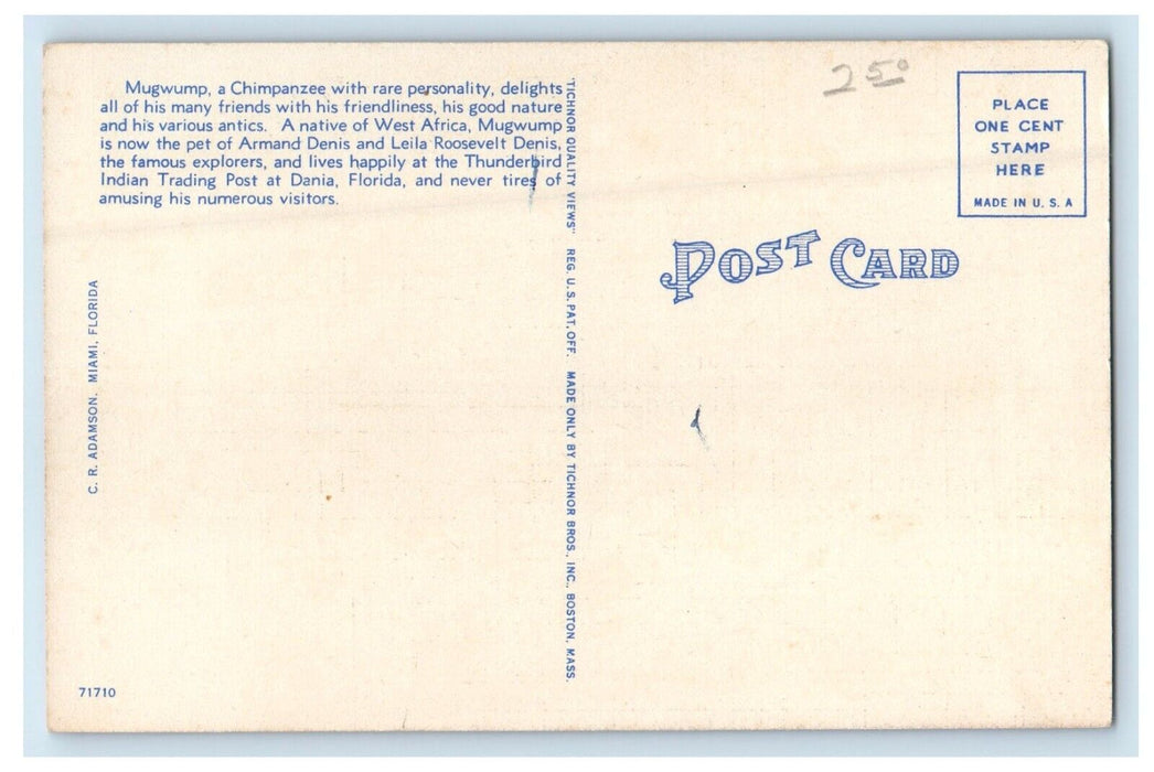 Mugwump The Entertaining Chimpanzee Thunderbird Indian Trading Dania FL Postcard