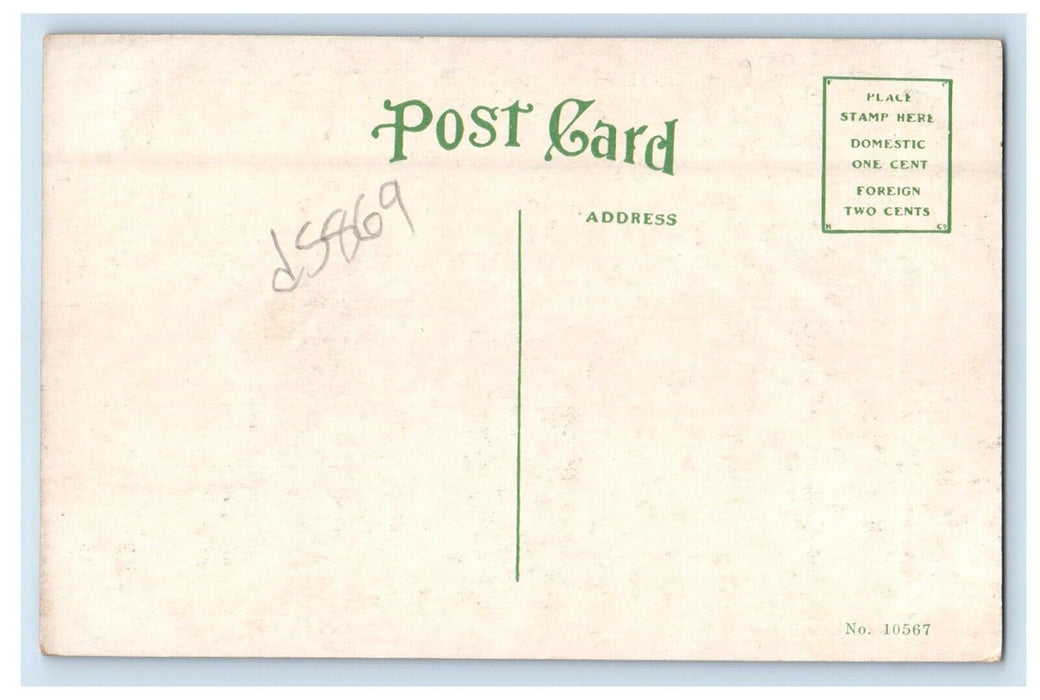 c1910's S.S. Peter And Paul Church Interior Huntington Indiana IN Postcard