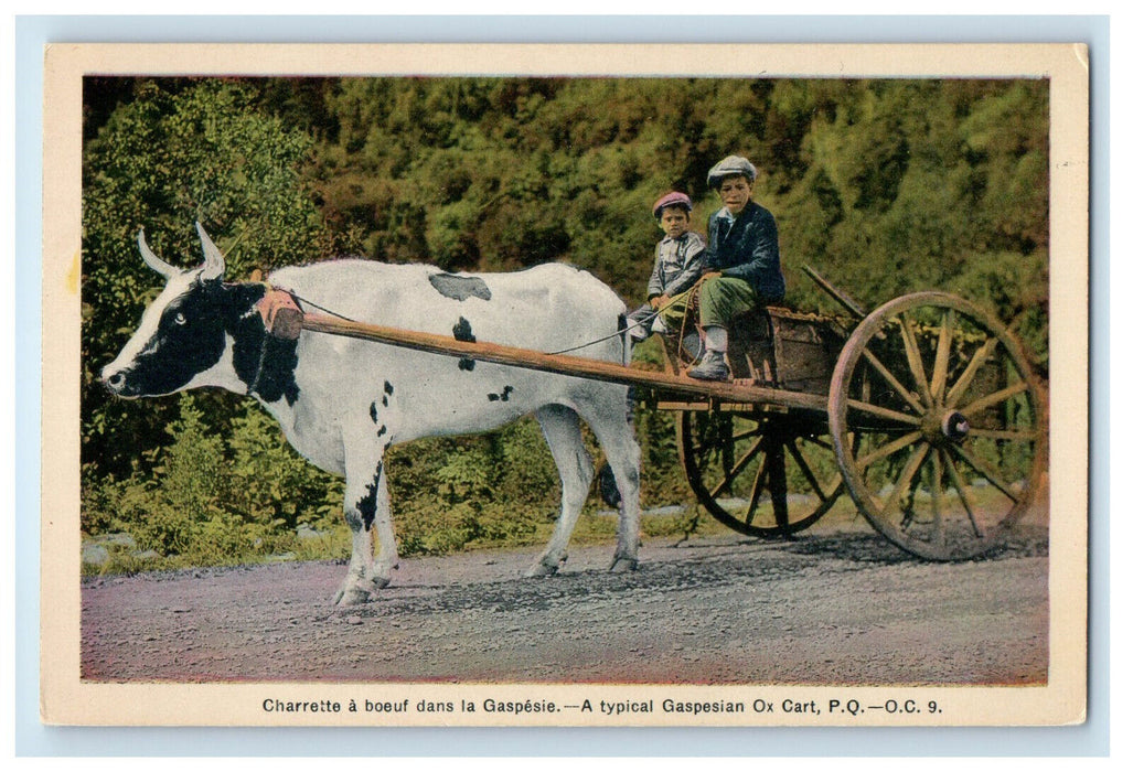 c1910 A Typical Gaspesie Ox Cart Quebec Canada Unposted Postcard