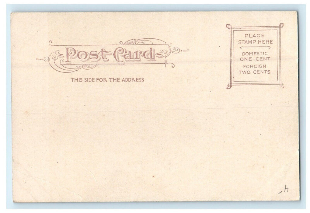 c1905 Berth Eden, Baptist Waltham Massachusetts MA Undivided Back Postcard