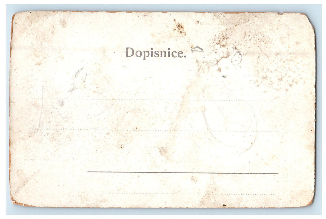 c1905 Novy Most Cisare Frantiska Pozdrav Z Prahy Czech Republic Postcard