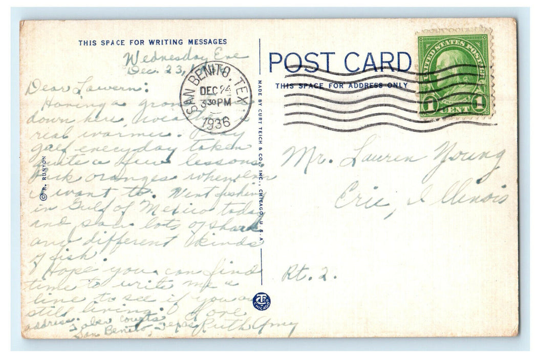 1936 A Bean Field Lower Rio Grande Valley Texas TX Posted Vintage Postcard