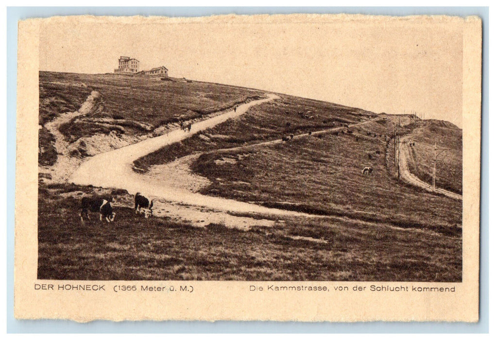 c1940s Cows Scene, Der Hohneck Summit in France Unposted Vintage Postcard