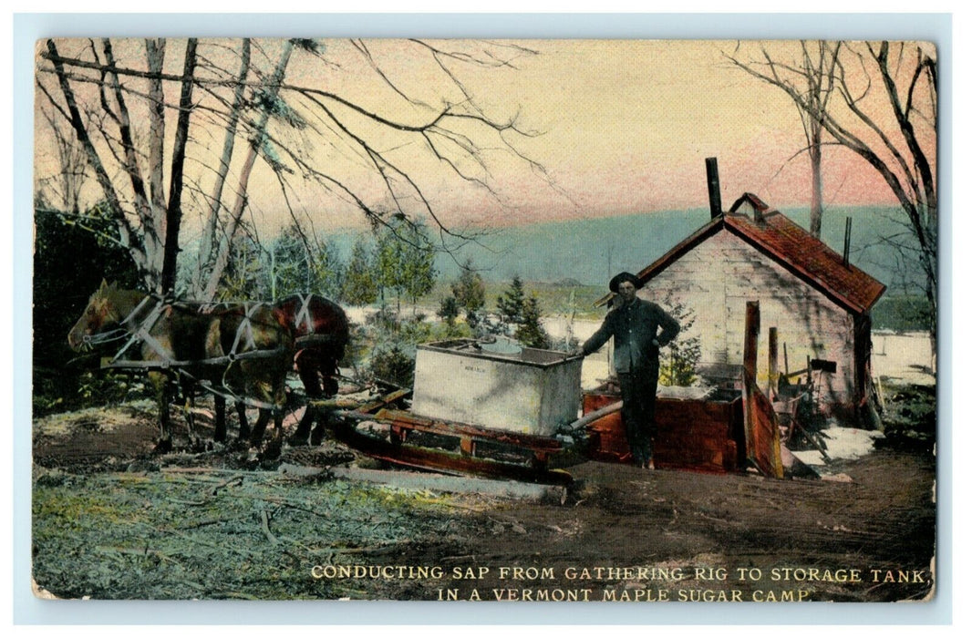 1914 Conducting Sap Vermont Maple Sugar Camp Pleasant Gap Pennsylvania Postcard