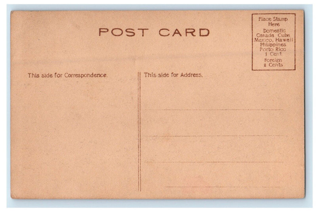 c1910's Wakonah Falls Dalton Massachusetts MA Waterfalls Antique Postcard