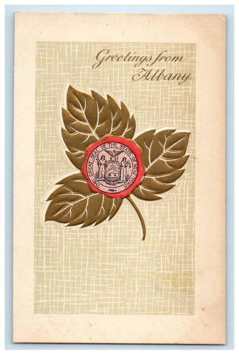 Greetings From Albany New York NY, Embossed Unposted Postcard