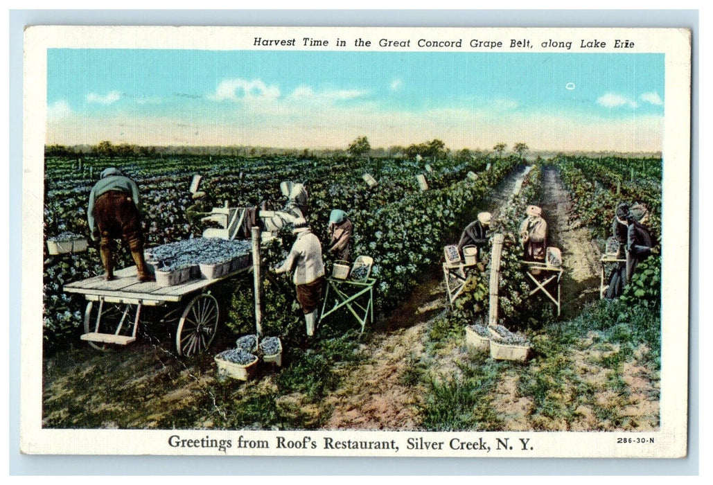 1950 Greetings From Roof's Restaurant Silver Creek NY, Harvest Grape Postcard