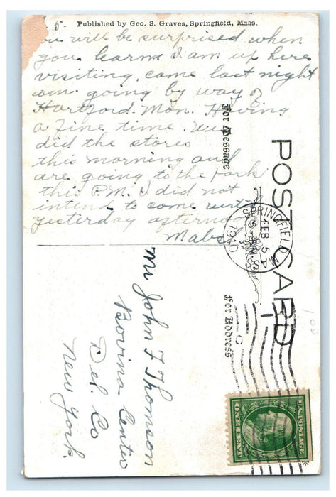 1910 Buffaloes Forest Park Springfield Massachusetts MA Antique Posted Postcard