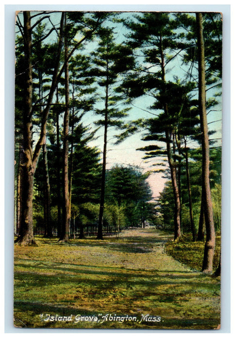 c1910 Island Grove, Abington Massachusetts MA Antique Unposted Postcard