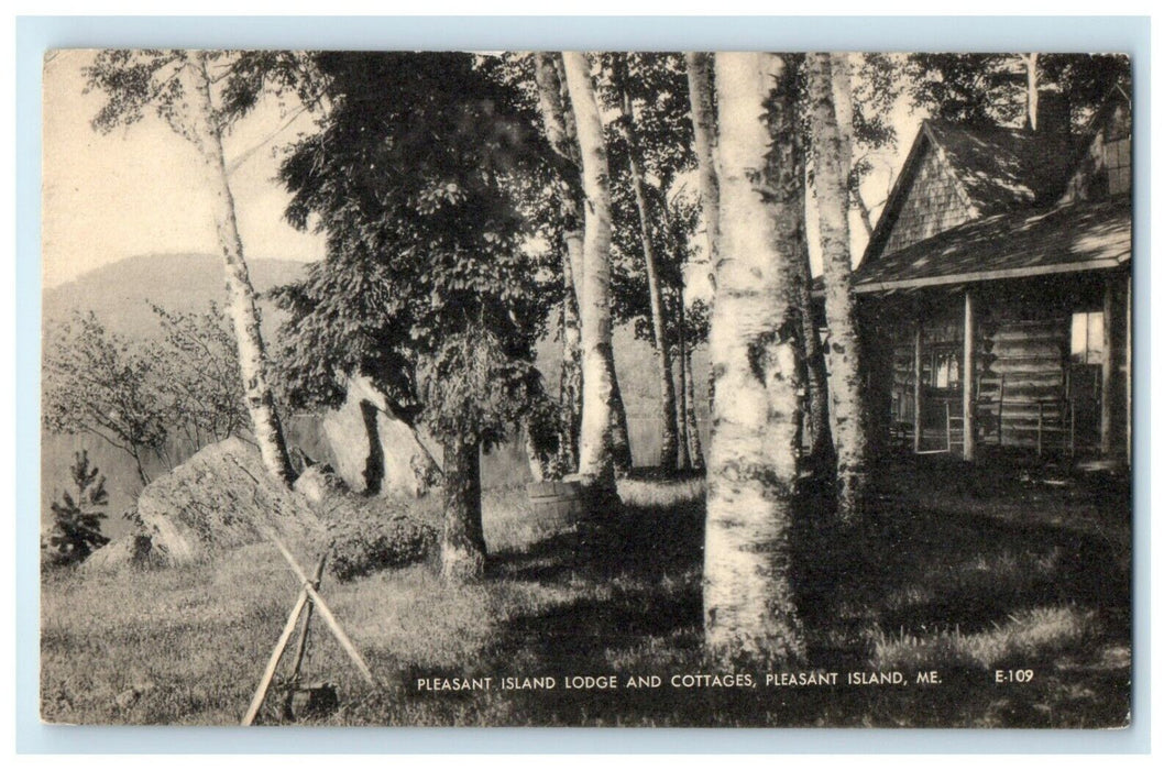 1941 Pleasant Island Lodge And Cottages Maine ME Posted Vintage Postcard