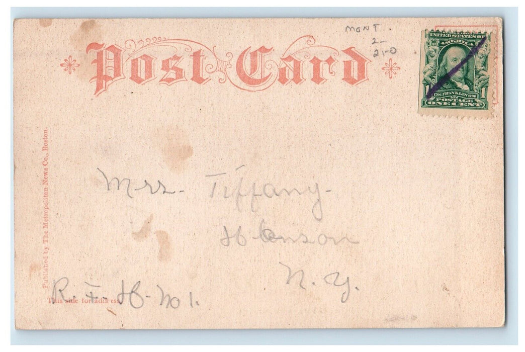 c1905 Public Library Building Amsterdam New York NY Posted Antique Postcard