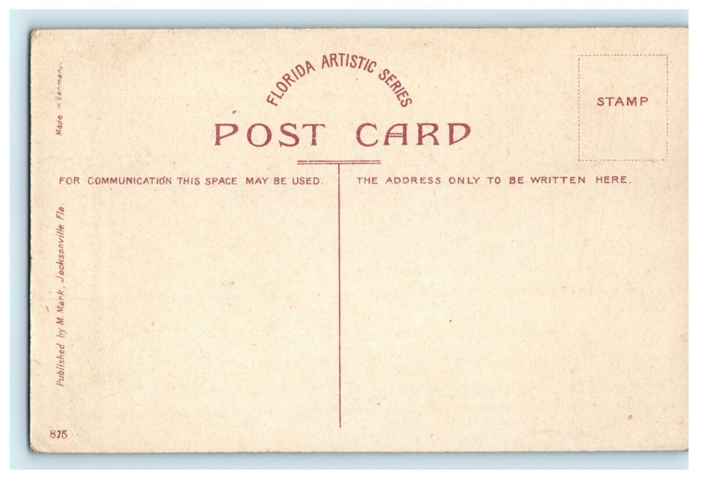 c1910 January Train Through Orange Groves Florida FL Unposted Antique Postcard