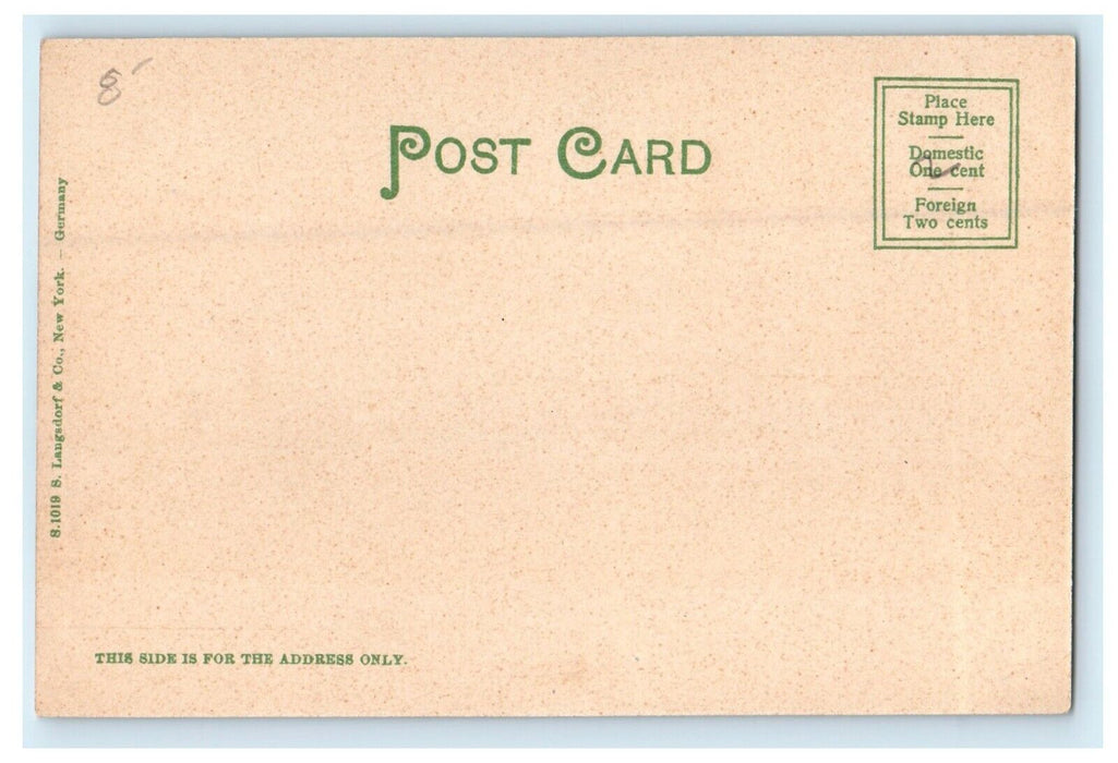 1905 Man Standing in Dickinson Hall, Westfield Massachusetts MA Postcard