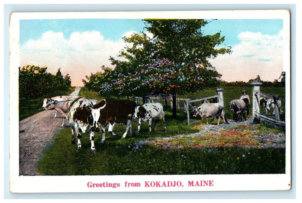 1932 Greetings From Kokadjo Maine ME Posted Vintage Postcard