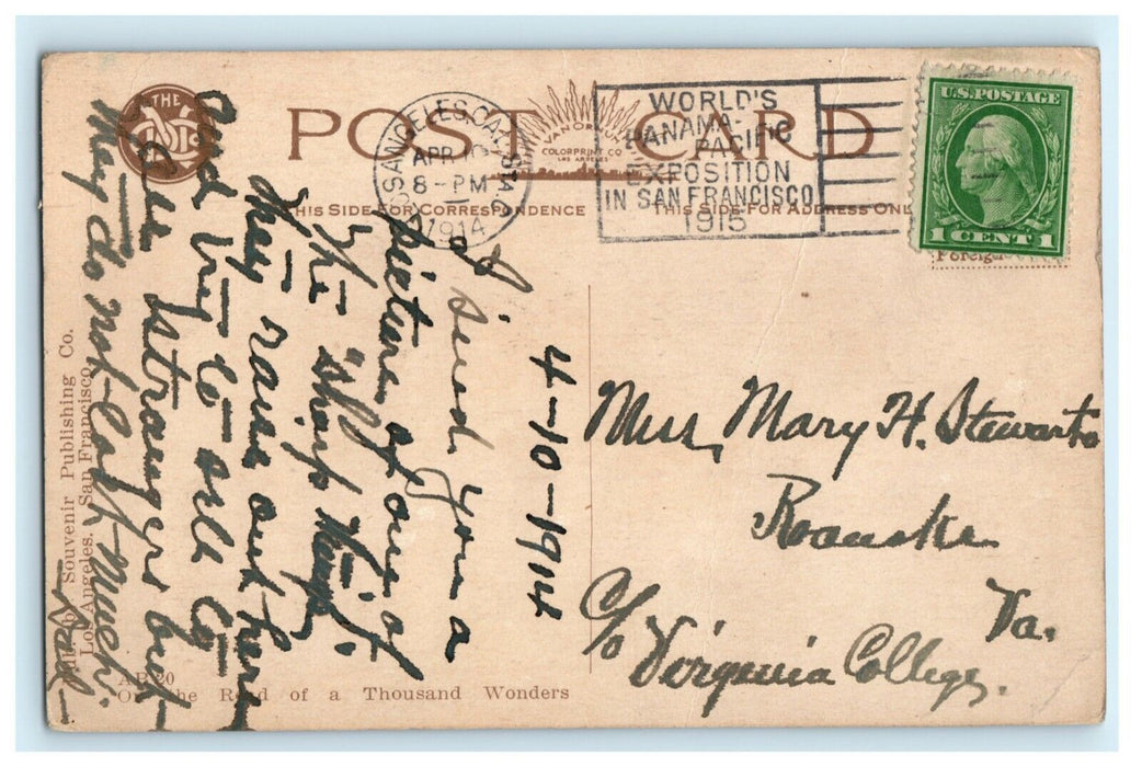 1914 Barrel Cactus Los Angeles California CA Panama Exposition Postcard
