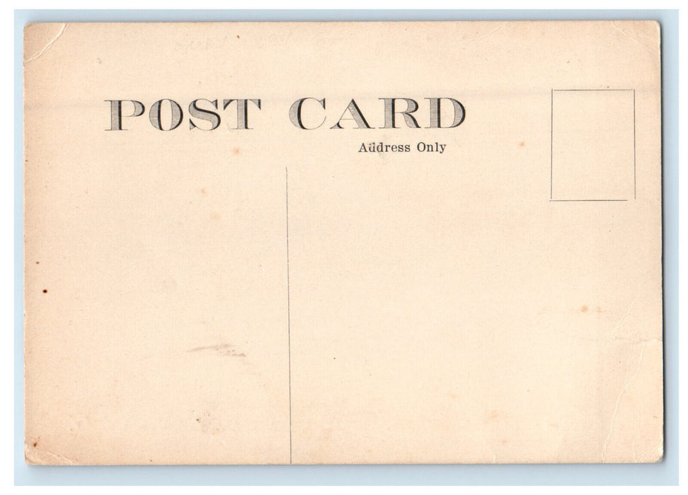 c1910 The Utica Poultry Show, State Armory Utica NY Advertising Postcard