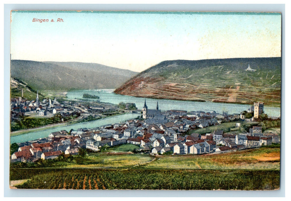 c1910 Aerial View of Buildings Bingen am Rhein Germany Antique Postcard