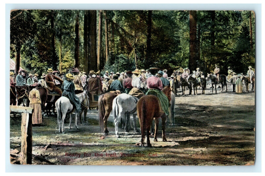 Yosemite California National Park Horseback Ready for Trail Antique Postcard