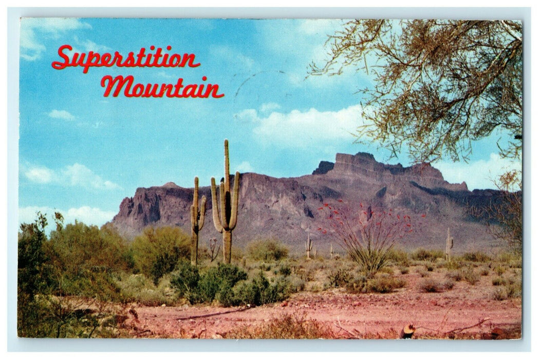 1962 Superstition Mountain Mesa Arizona AZ Cactus South Bend Indiana IN Postcard