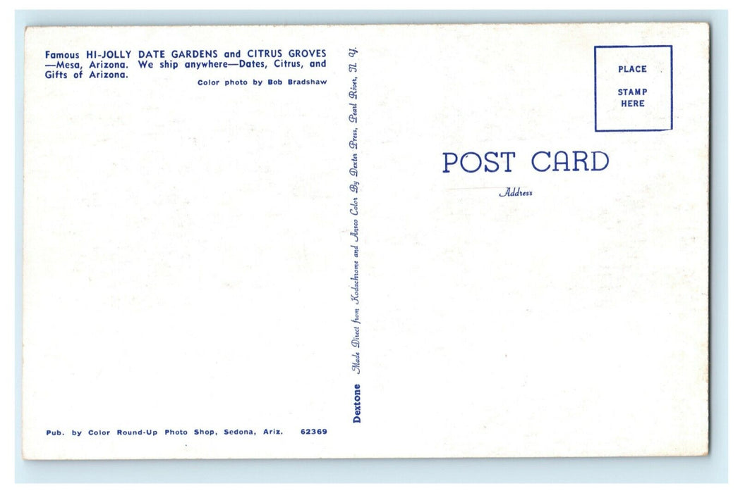 c1950's Hi-Jolly Date Gardens Citrus Groves Mesa Arizona AZ Postcard